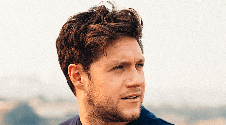 Niall Horan - Everywhere (Official Visualizer) 